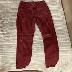 Maroon Capri Pant